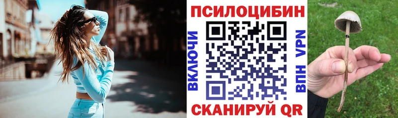 Галлюциногенные грибы Cubensis  Мегион 